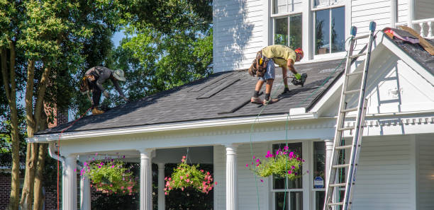 Best Metal Roofing Contractor  in Avon Park, FL